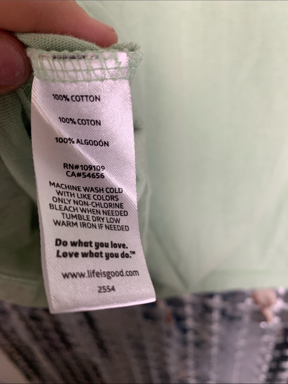 Life Is Good Sage Green Graphic Tank - Rise & Shine Palm - Picture 4 of 4